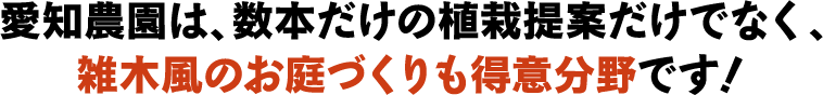 愛知農園は、数本だけの植栽提案だけでなく、雑木風のお庭づくりも得意分野です！