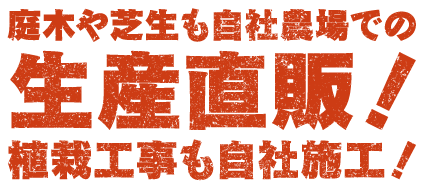 庭木や芝生も自社農場での生産直販！植栽工事も自社施工！