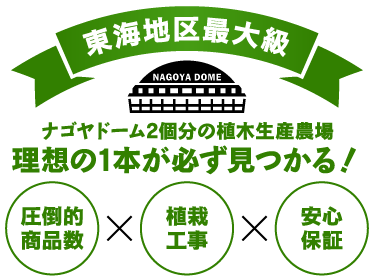 東海地区最大級ナゴヤドーム2個分の植木生産農場理想の1本が必ず見つかる！