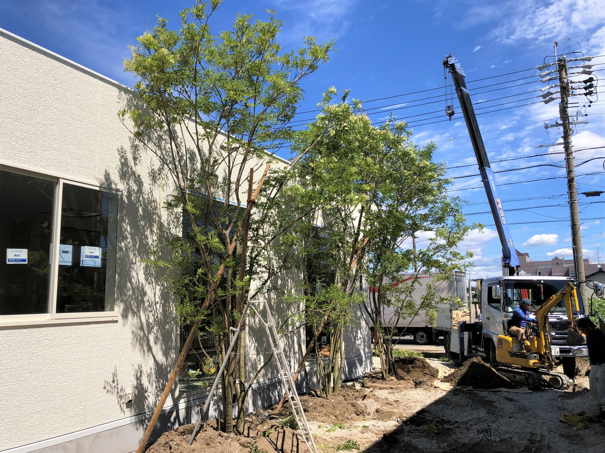 北名古屋市ｍ様 会社事務所 植栽工事 東海地区最大級の植木 庭木販売農場 愛知農園